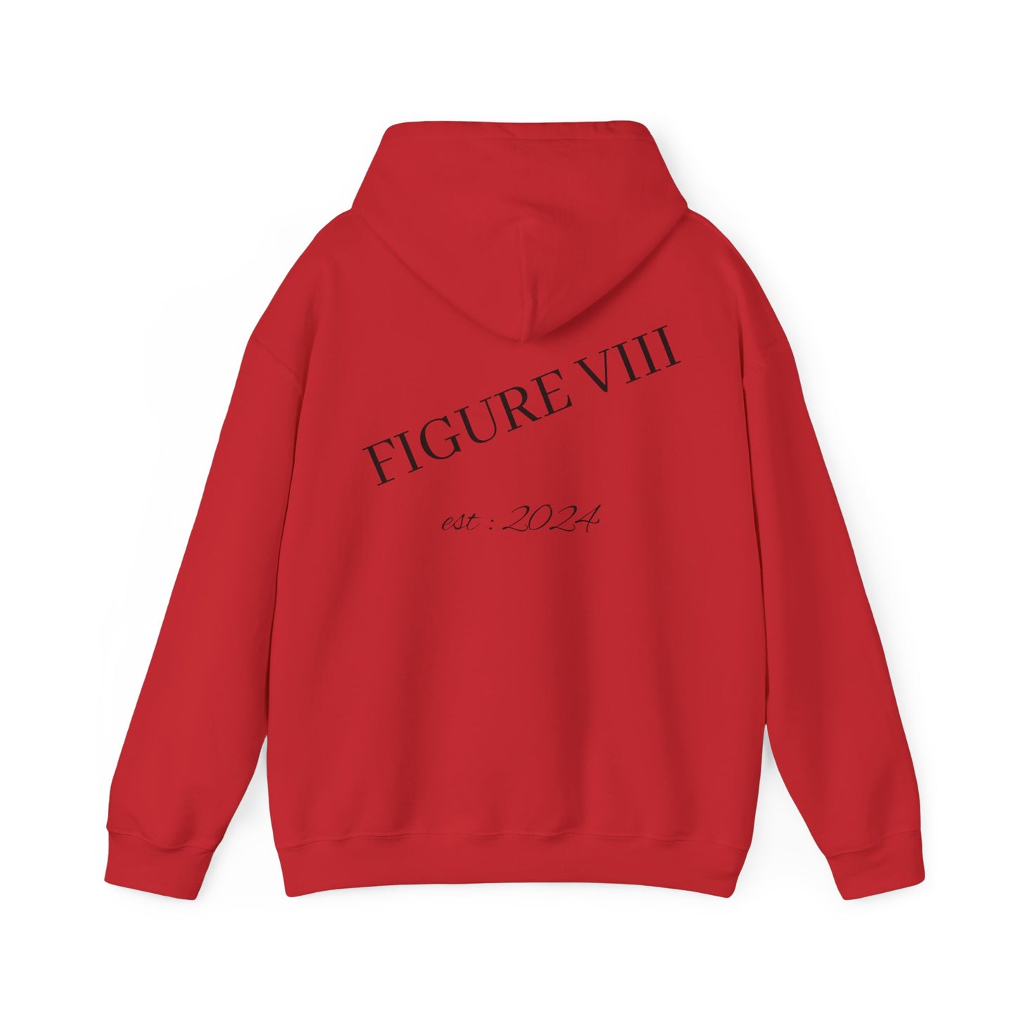 Figure 8 Hoodie