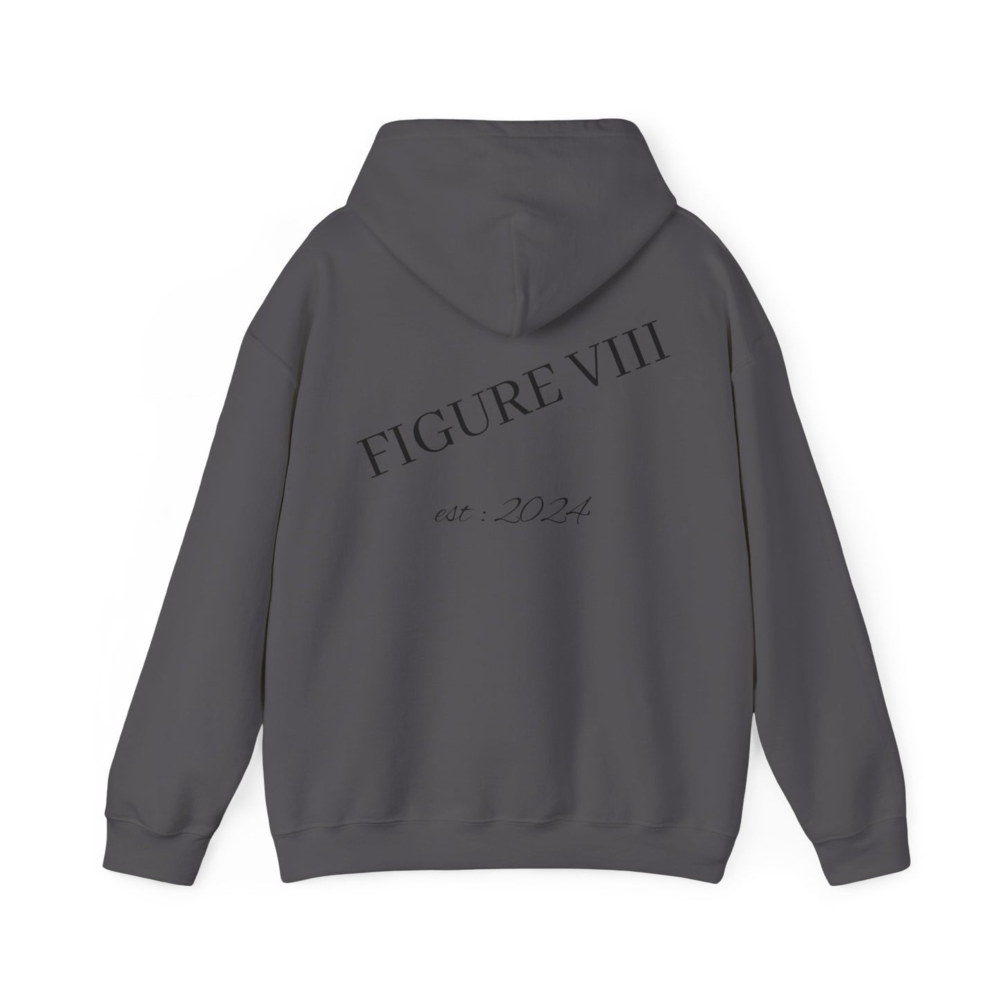 Figure 8 Hoodie