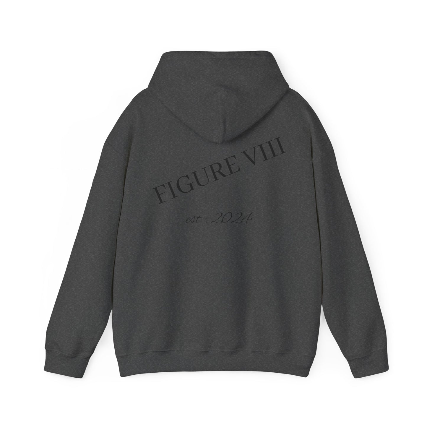 Figure 8 Hoodie