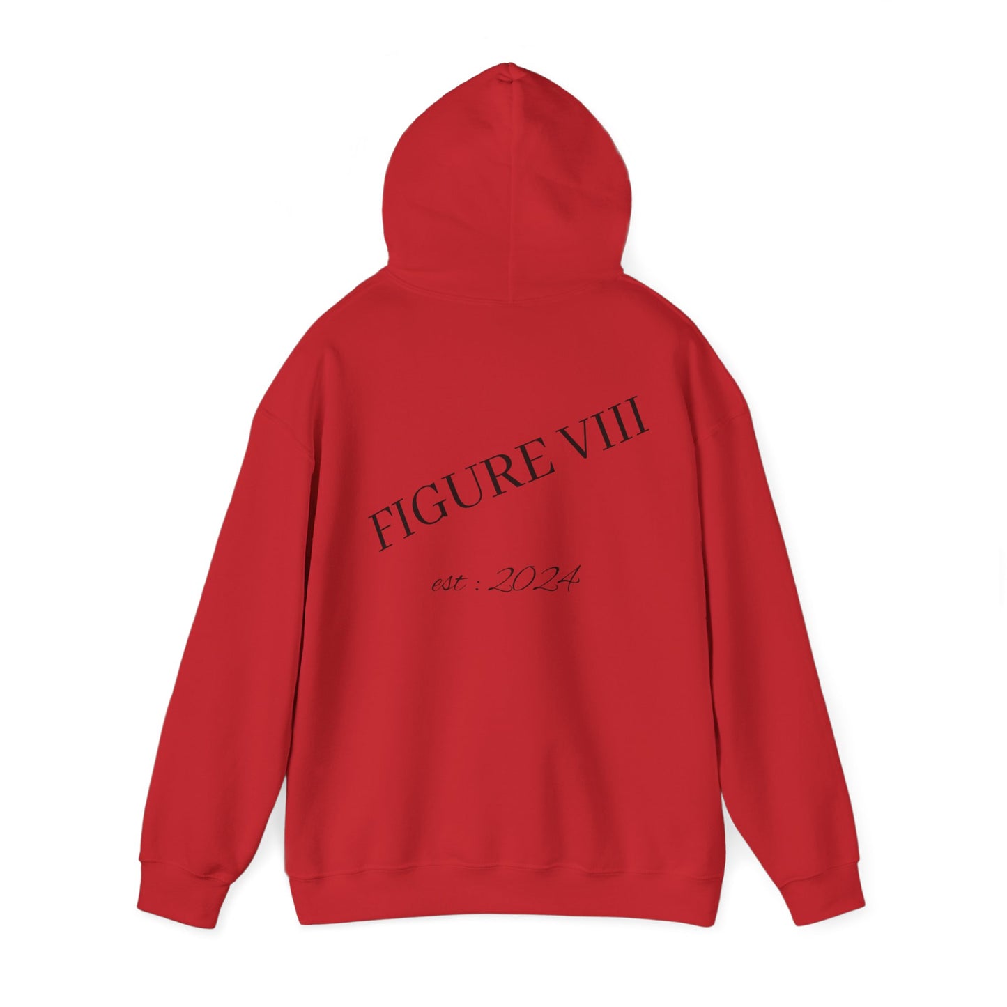 Figure 8 Hoodie