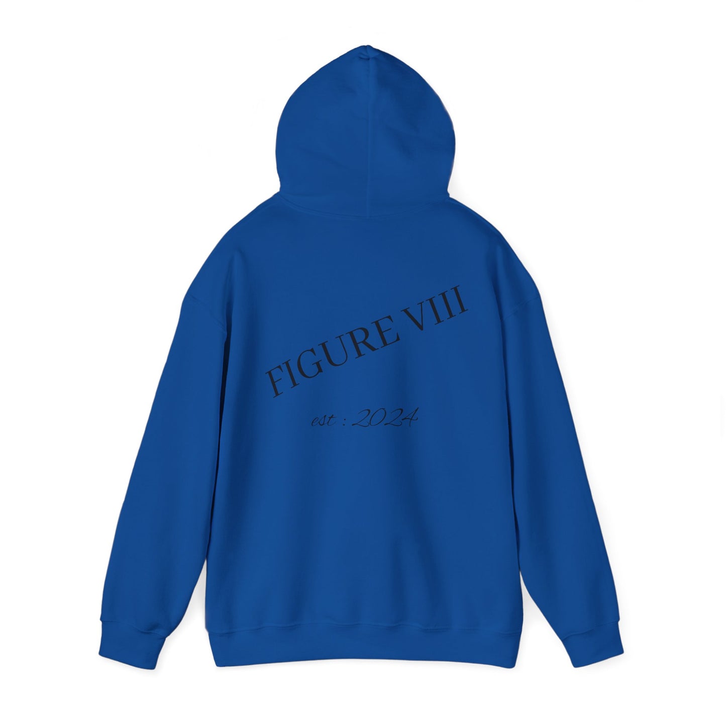Figure 8 Hoodie