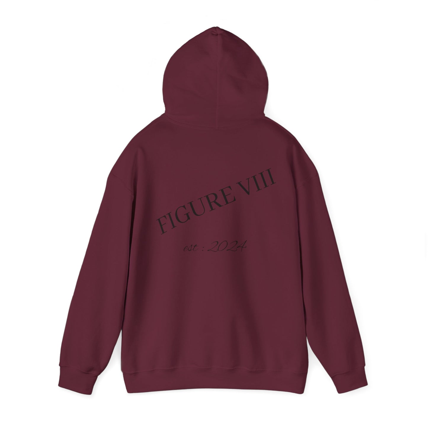 Figure 8 Hoodie
