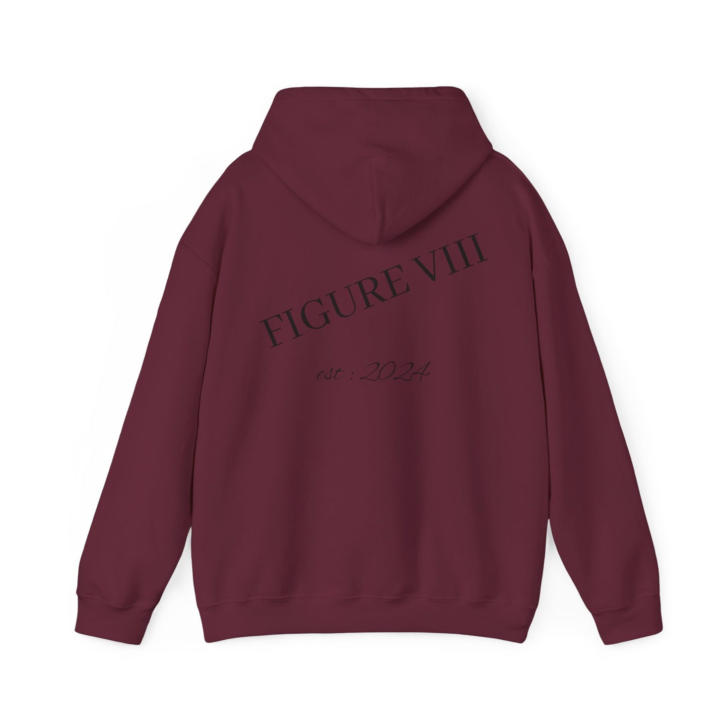 Figure 8 Hoodie